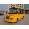 大力19座小學(xué)生校車，19座校車價(jià)格，19座校車圖片