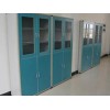 實(shí)驗(yàn)室家具藥品柜廠家直銷(xiāo)供應(yīng)_專業(yè)供應(yīng)各式實(shí)驗(yàn)室家具藥品柜