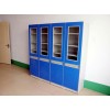 個(gè)性理化生實(shí)驗(yàn)室儀器柜藥品柜，遠(yuǎn)誠，福州具有口碑的理化生實(shí)驗(yàn)室儀器柜企業(yè)