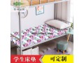 學(xué)生床墊_單人折疊床墊廠家直銷_棕軒床墊