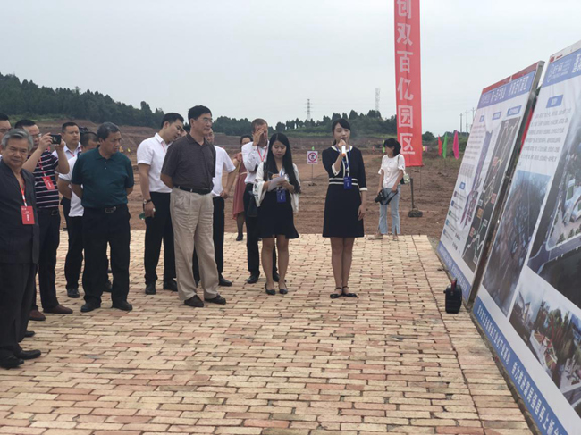 image037.jpg image037.jpg