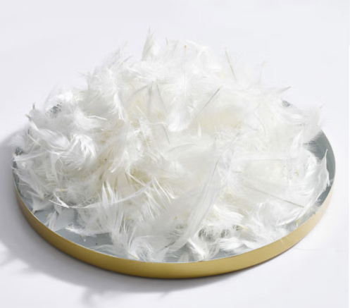 屏幕截圖 2025-05-27 113720