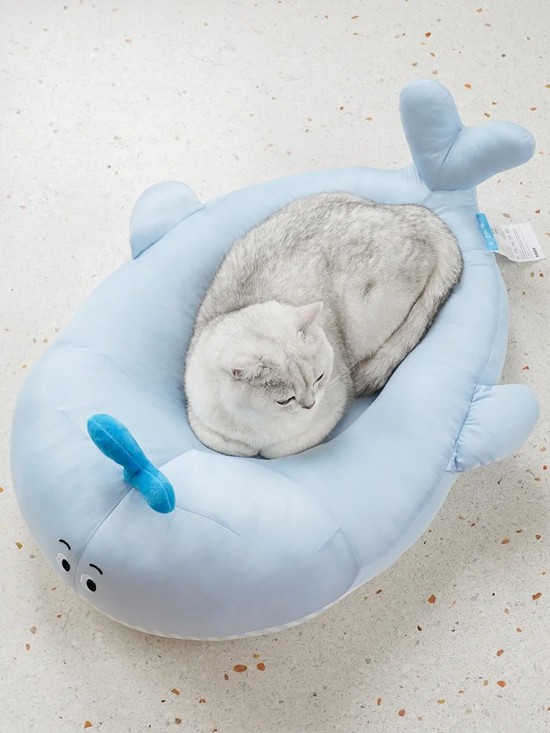 寵物冰窩｜誰能拒絕一只冰冰涼涼的小鯨魚呢_2_zeze_來自小紅書網(wǎng)頁版