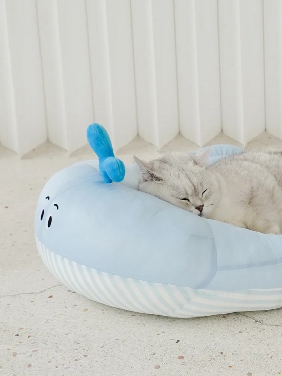 寵物冰窩｜誰能拒絕一只冰冰涼涼的小鯨魚呢_5_zeze_來自小紅書網(wǎng)頁版